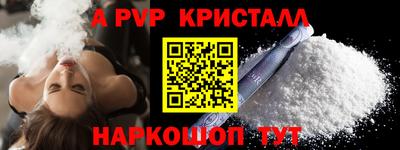 хмурый Кингисепп