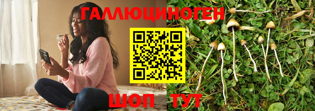 МЕТАМФЕТАМИН Сегежа