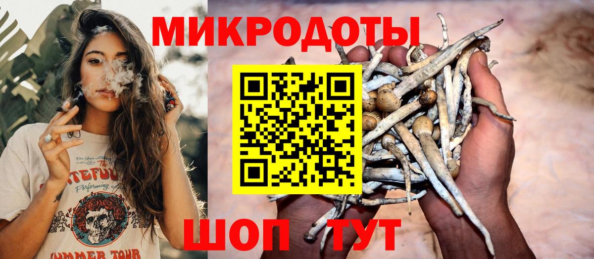 Псилоцибиновые грибы GOLDEN TEACHER Сегежа
