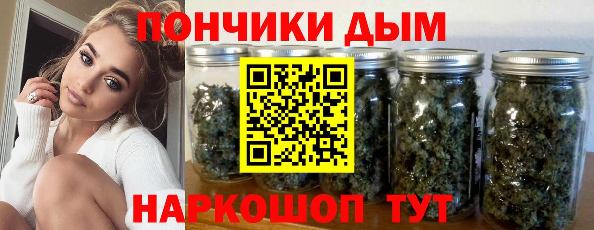 Конопля планчик Сегежа